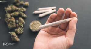 A Grower’s Guide Cultivation to Pre-Roll, Ensuring Consistent Quality