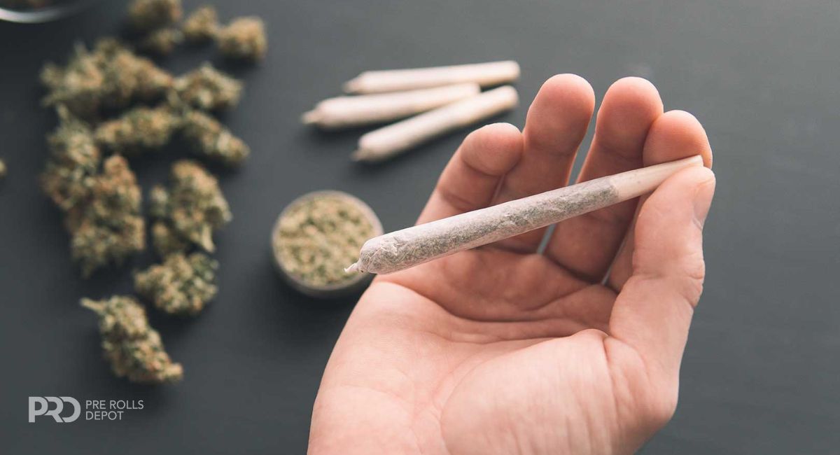 A Grower’s Guide Cultivation to Pre-Roll, Ensuring Consistent Quality