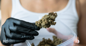 How to Choose the Right Pre-Roll Sativa vs Indica vs Hybrid