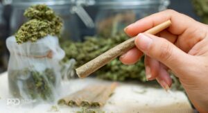 The Evolution of Cannabis Pre-Rolls