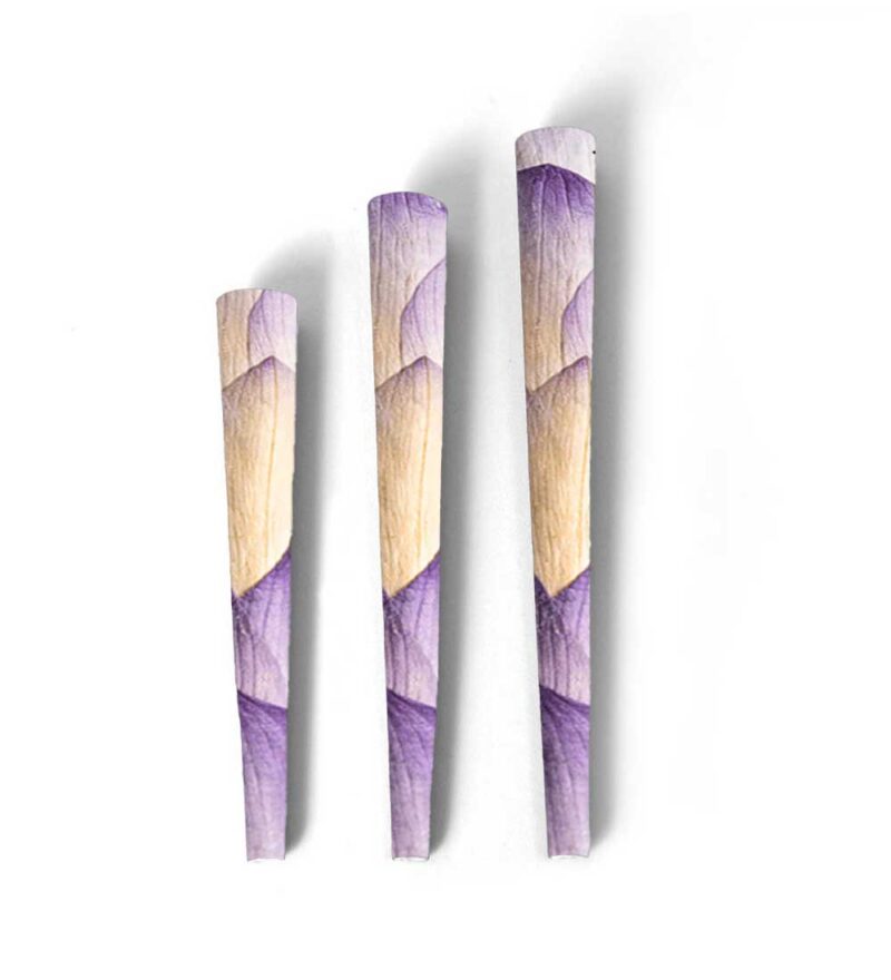 Lotus Cones Paper Tip - 25 Per Case - Image 3
