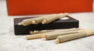 How Pre-Rolled Cones Are Made